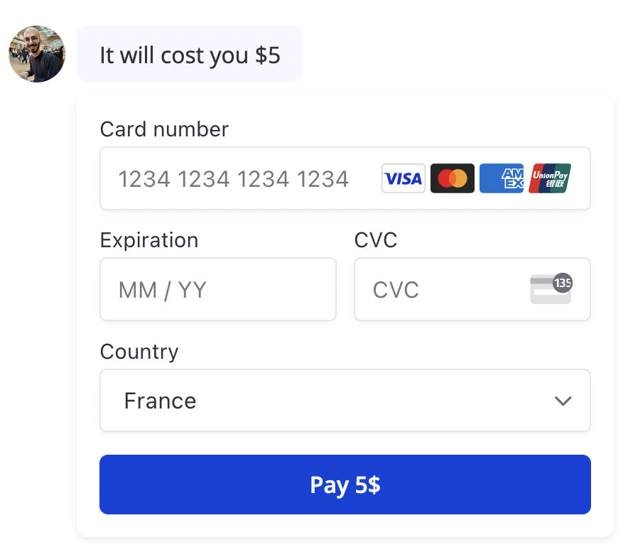 Payment input block displayed in the bot interface