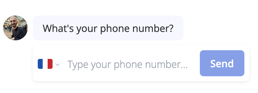Phone Number input block displayed in the bot interface