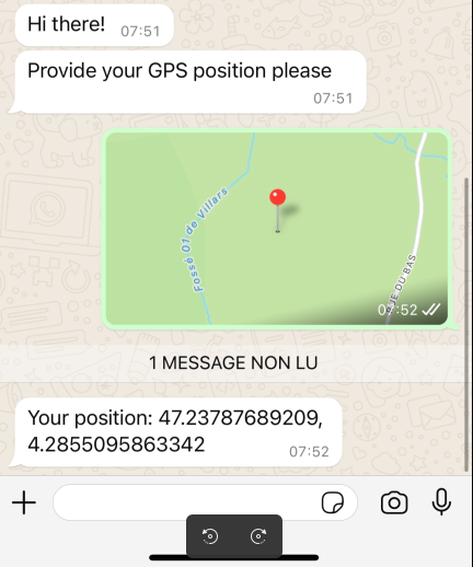 WhatsApp location collection in bot preview
